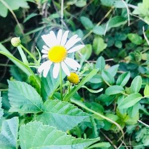 Meet your Posher, Shelly